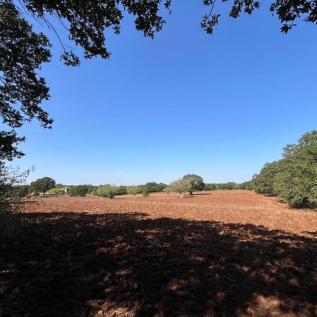 Trullo Dimora Podere Papilio Noci Zewnętrze zdjęcie