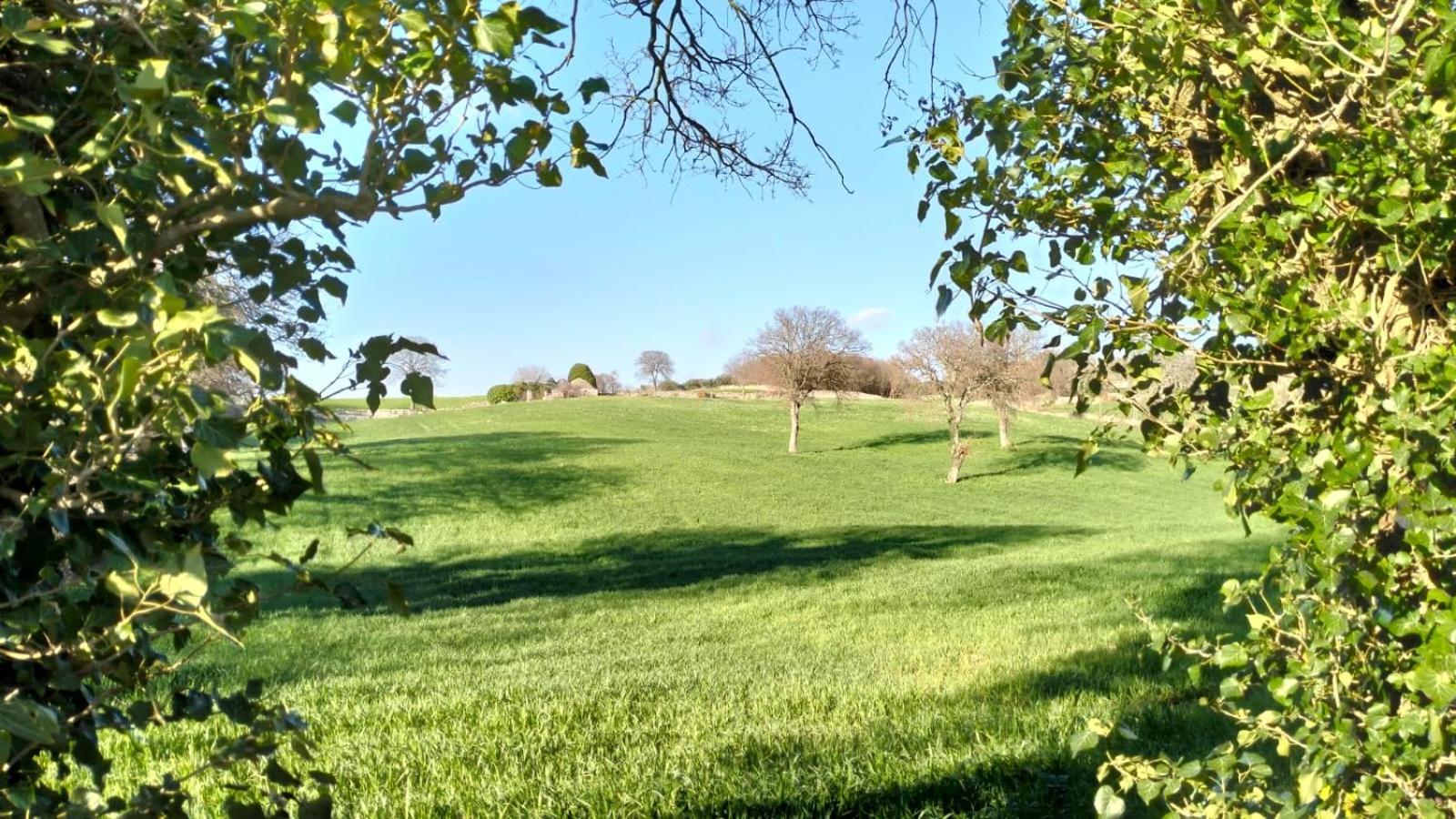 Trullo Dimora Podere Papilio Noci Zewnętrze zdjęcie
