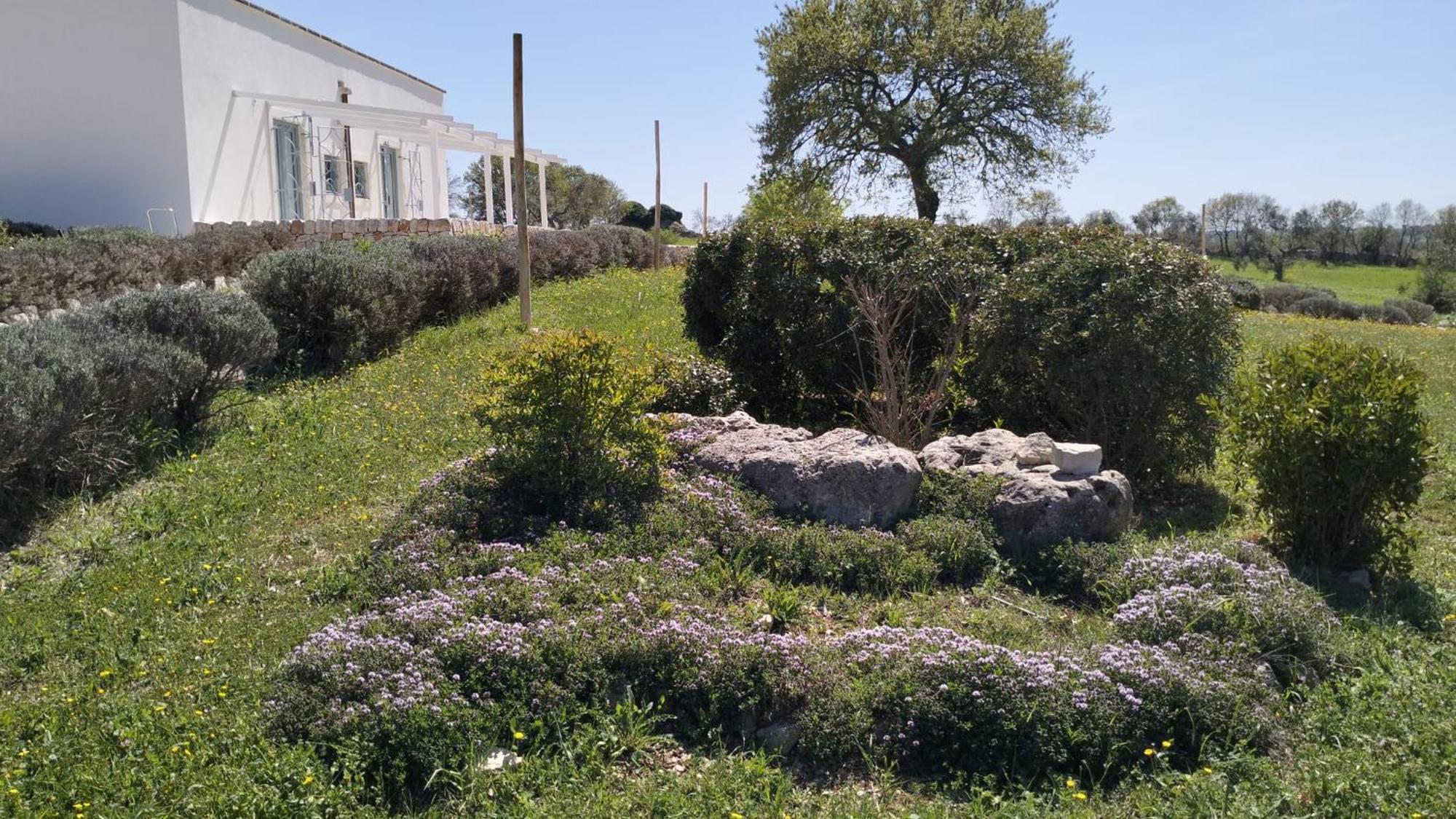 Trullo Dimora Podere Papilio Noci Zewnętrze zdjęcie